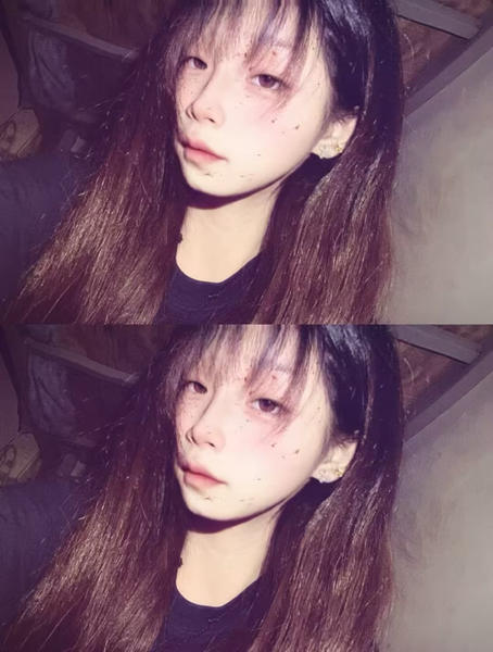 昭雪寒梅的主图